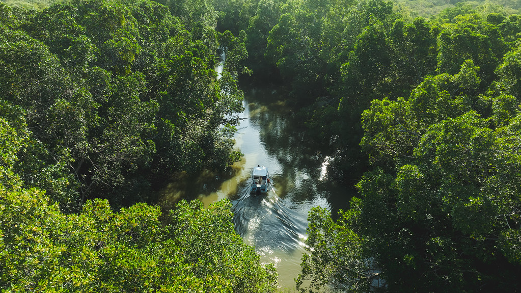 Boat gliding through a narrow channel in the Pantanal wetlands