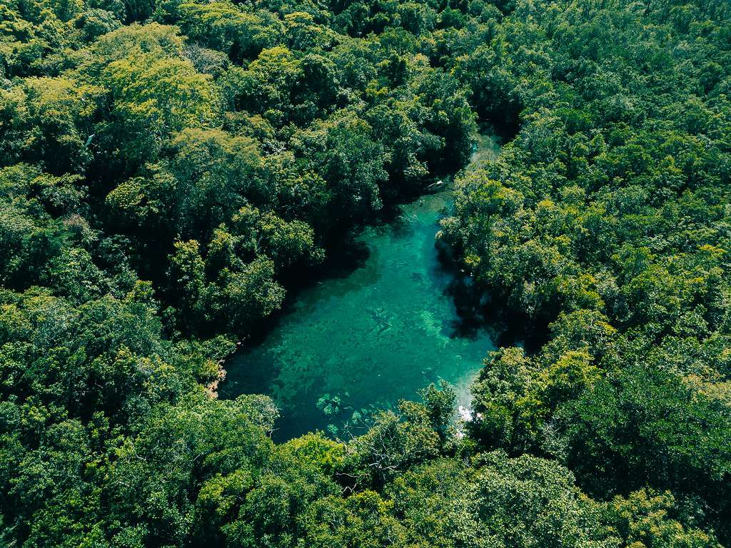 Turquoise lagoon surrounded by forest, seen from above