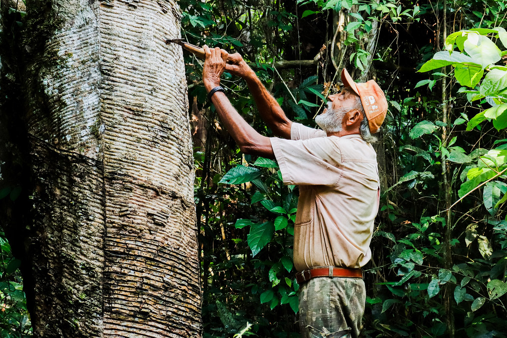 An authentic experience in Brazil