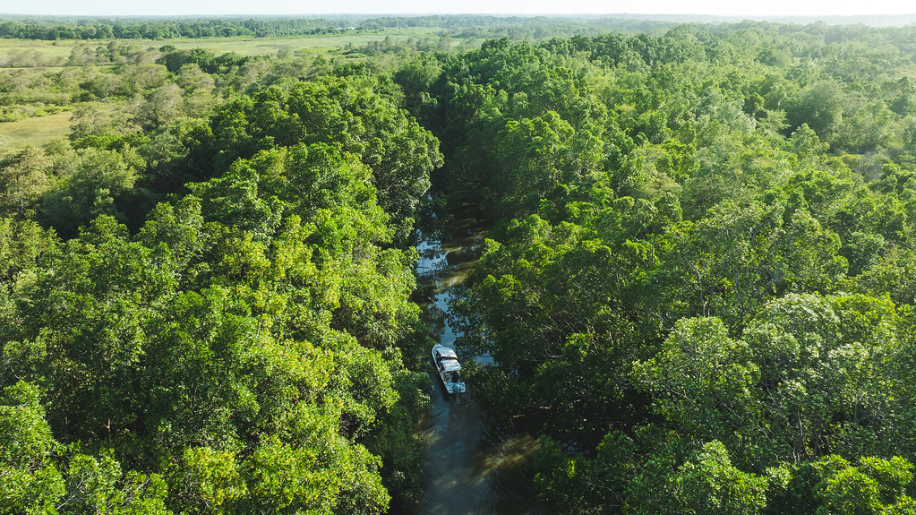 Aerial view of a boat crossing a green canal
