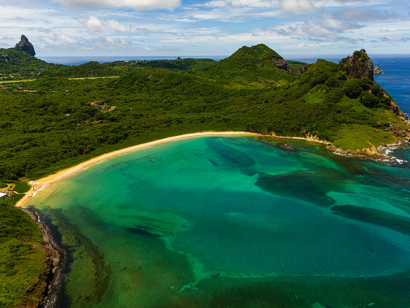 Spinner dolphins in the protected waters of Fernando de Noronha